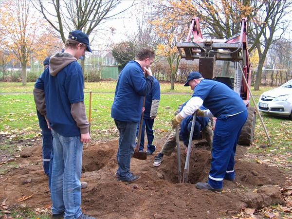 JFStifterwald2008 004