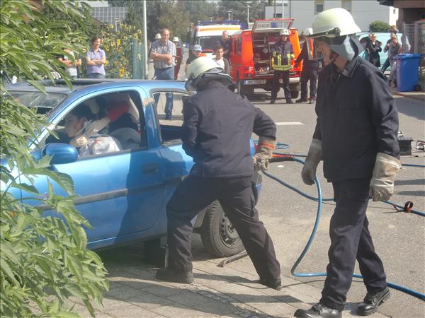 TdoT2010 030