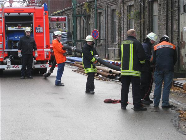 TM1FFDN2010 126