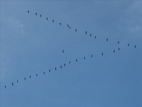 TM1FFDN2011 073