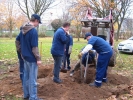 JFStifterwald2008 004