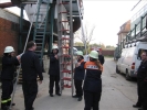 TM1FFDN2009 050