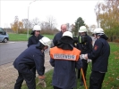 TM1FFDN2009 086