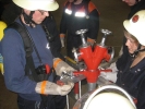 TM12010FFDN 155