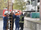 TM1FFDN2010 046