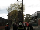 TM1FFDN2010 056