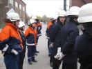 TM1FFDN2011 055