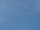 TM1FFDN2011 073