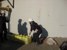 TM1FFDN2011 088