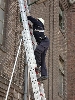 TM2AFFDN2012 008