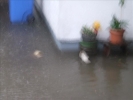 Unwetter 004