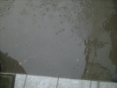 Unwetter 007
