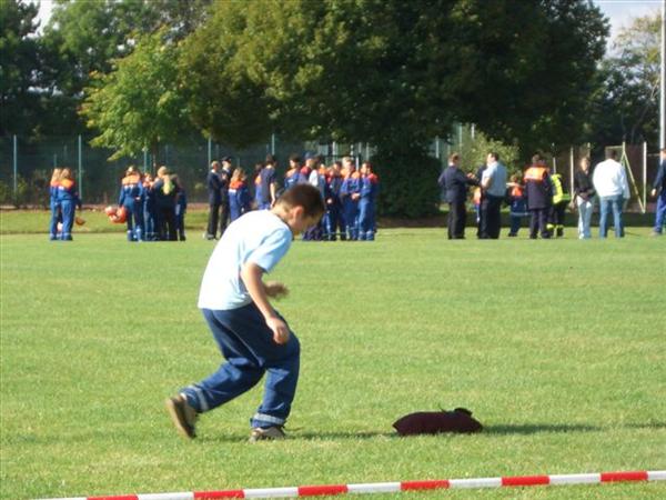 image 023