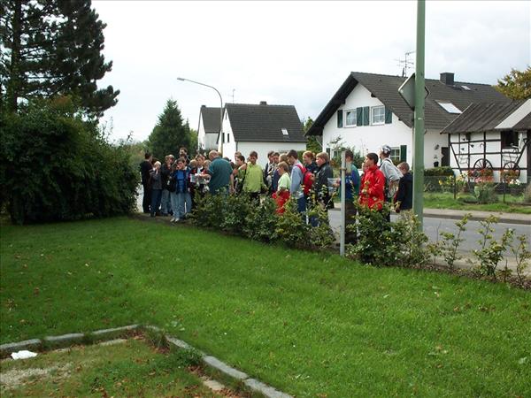 image 010