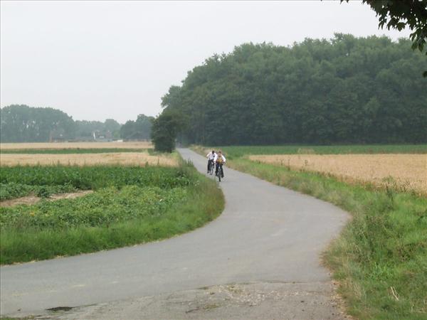 image 004