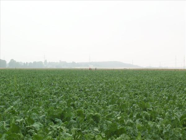 image 009