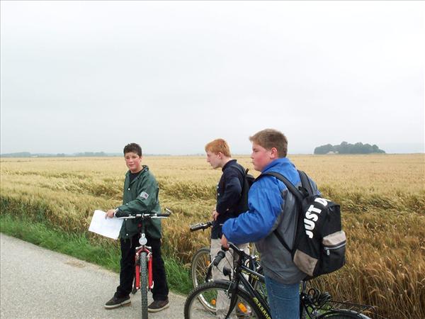 image 012