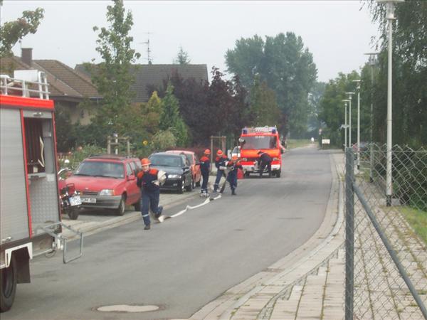 image 008