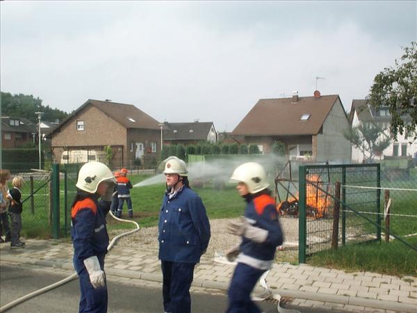 image 009