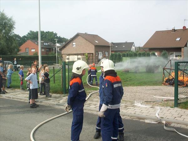 image 010