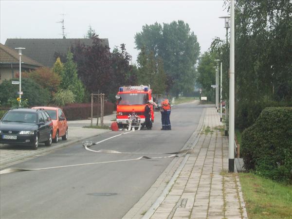 image 011