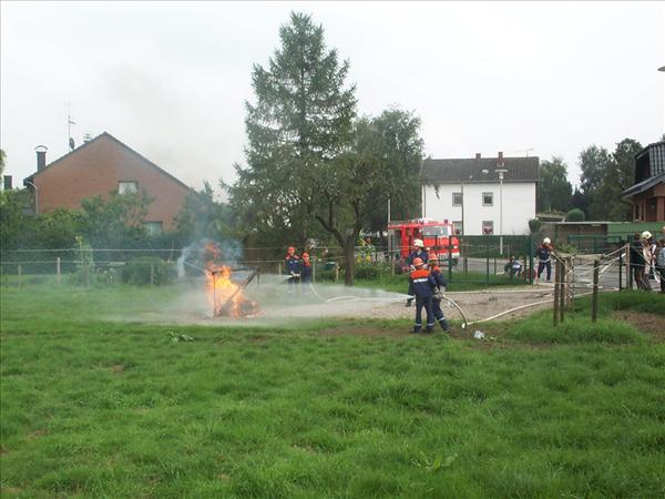 image 013