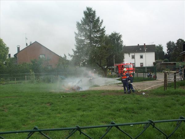 image 015