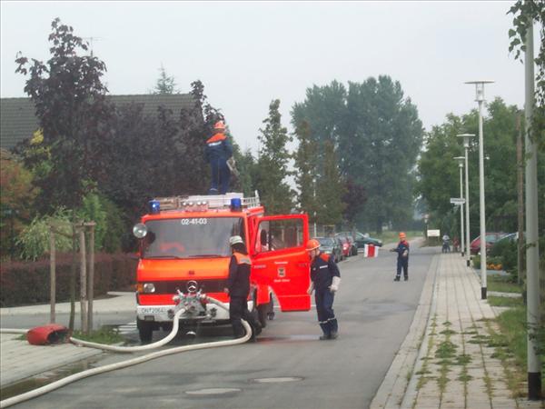 image 018