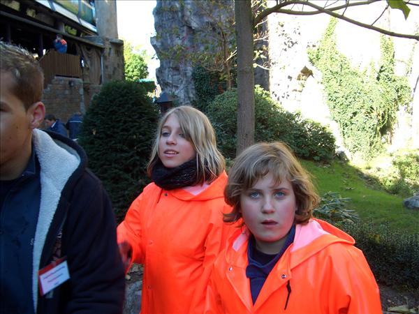 image 029